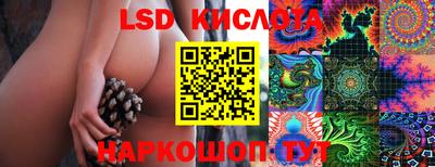 таблы Будённовск