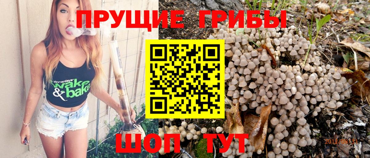 Галлюциногенные грибы GOLDEN TEACHER Родники