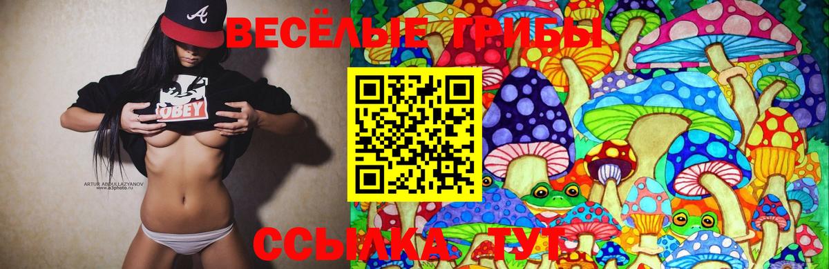 Галлюциногенные грибы MAGIC MUSHROOMS  Псилоцибиновые грибы Psilocybe  Вход с VPN  Родники 